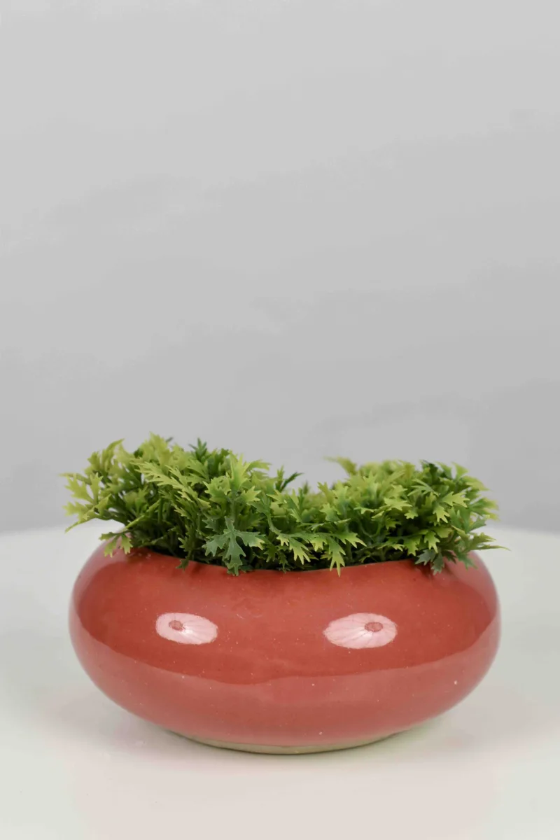 Classic Ceramic Planter — 4.5" Dia × 3.5" Height — Primary View