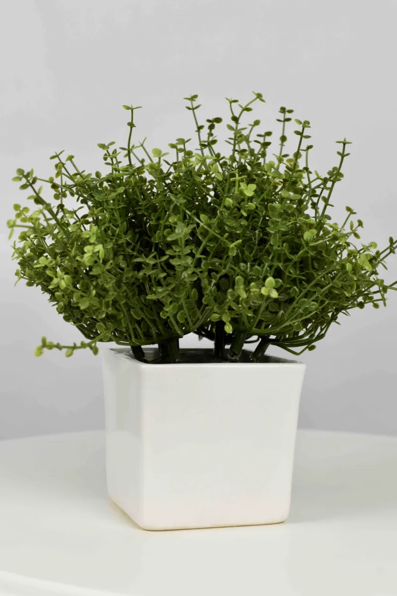Classic Ceramic Planter — 3.5" Dia × 3" Height — Primary View