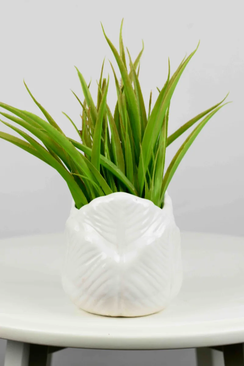 Classic Ceramic Planter — 6" Dia × 6" Height — Primary View