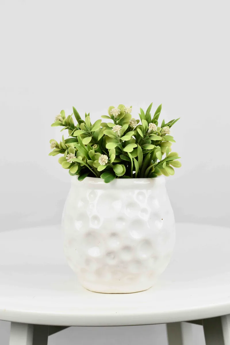 Classic Ceramic Planter — 3.5" Dia × 3" Height — Primary View