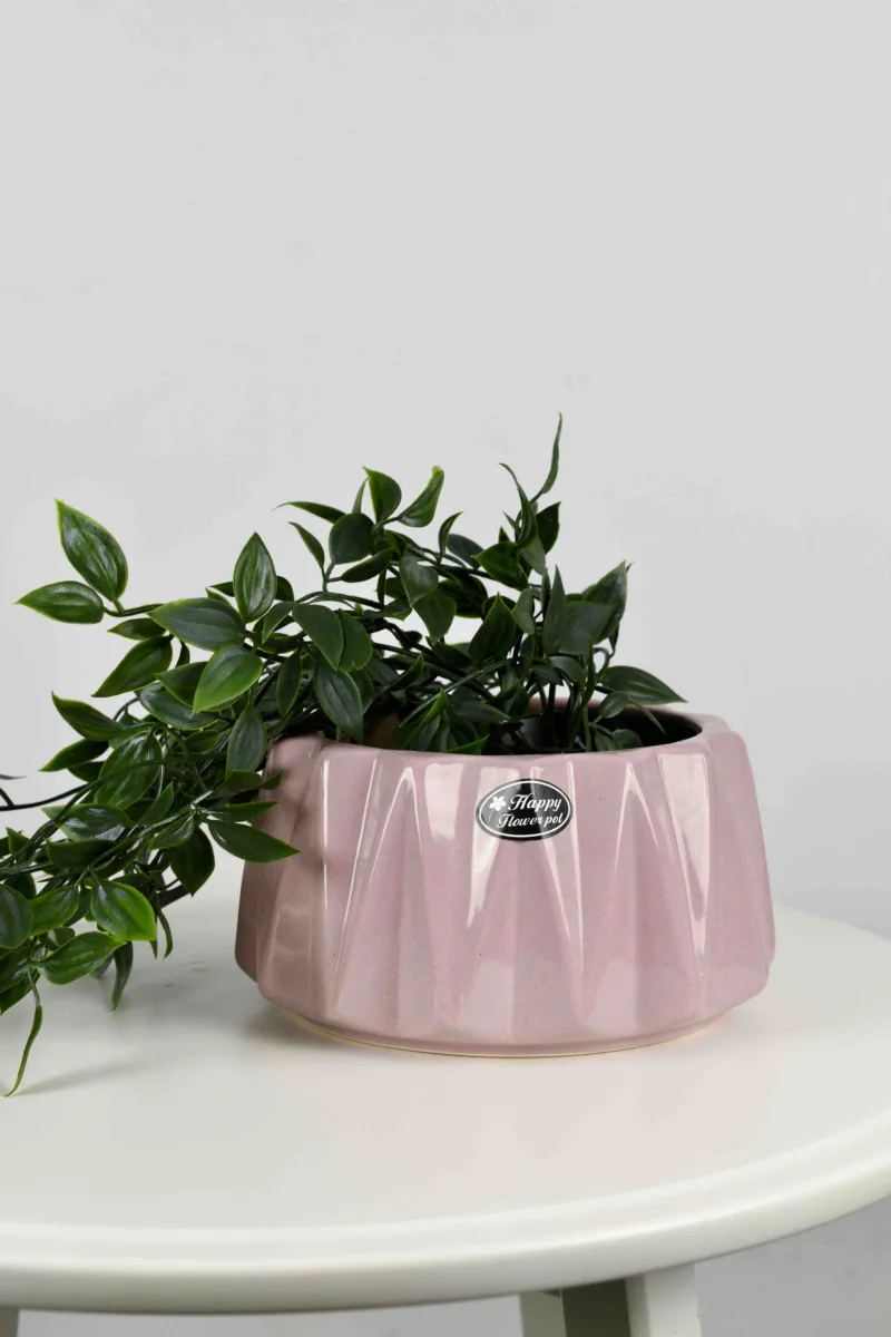 Classic Ceramic Planter — 5" Dia × 4" Height — Primary View