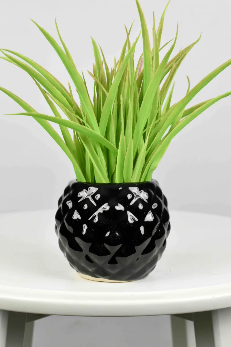 Classic Ceramic Planter — 6" Dia × 6" Height — Primary View