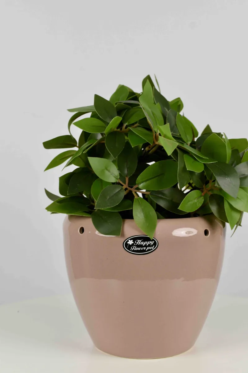 Classic Ceramic Planter — 4" Dia × 3" Height — Primary View
