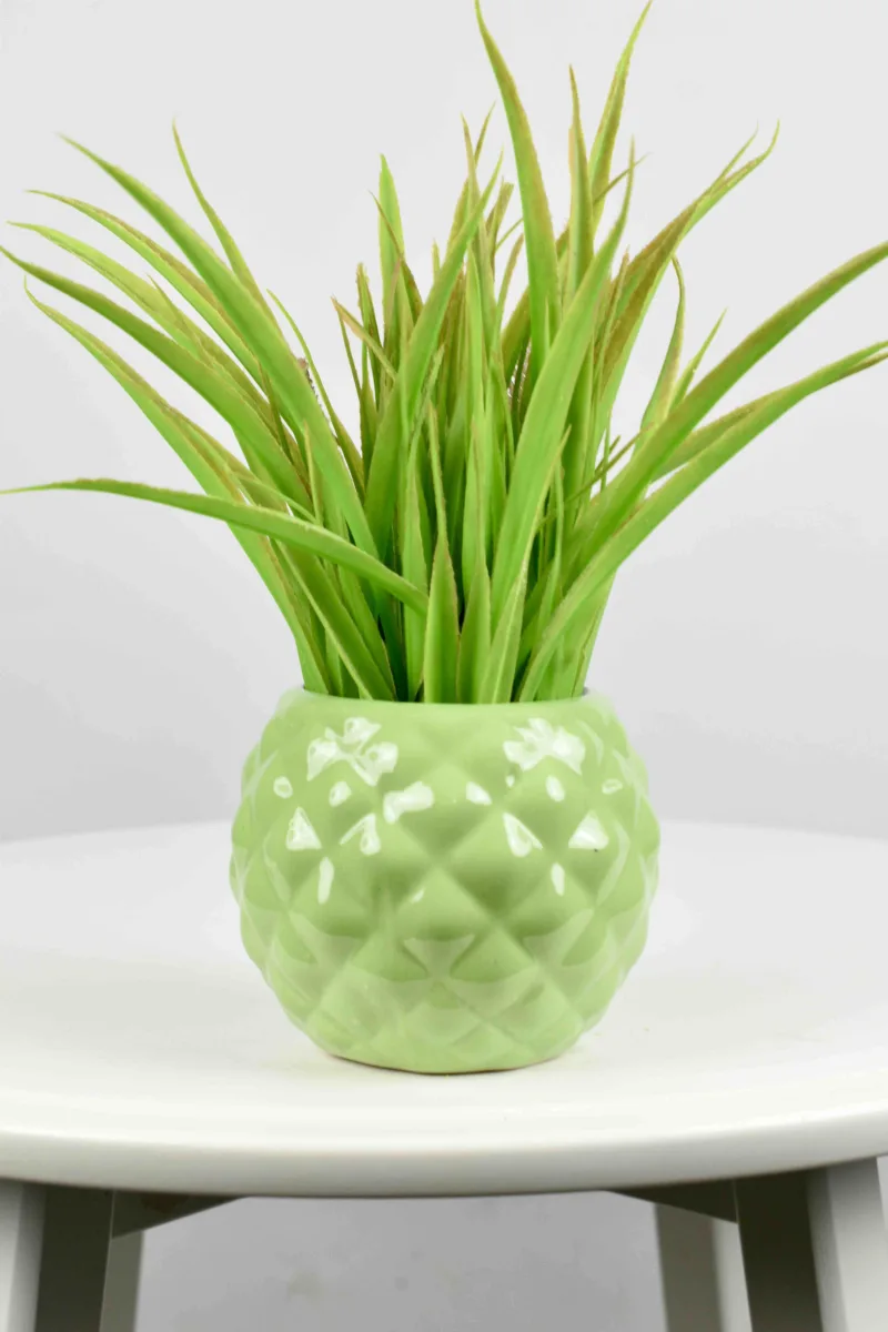Classic Ceramic Planter — 7" Dia × 4" Height — Primary View