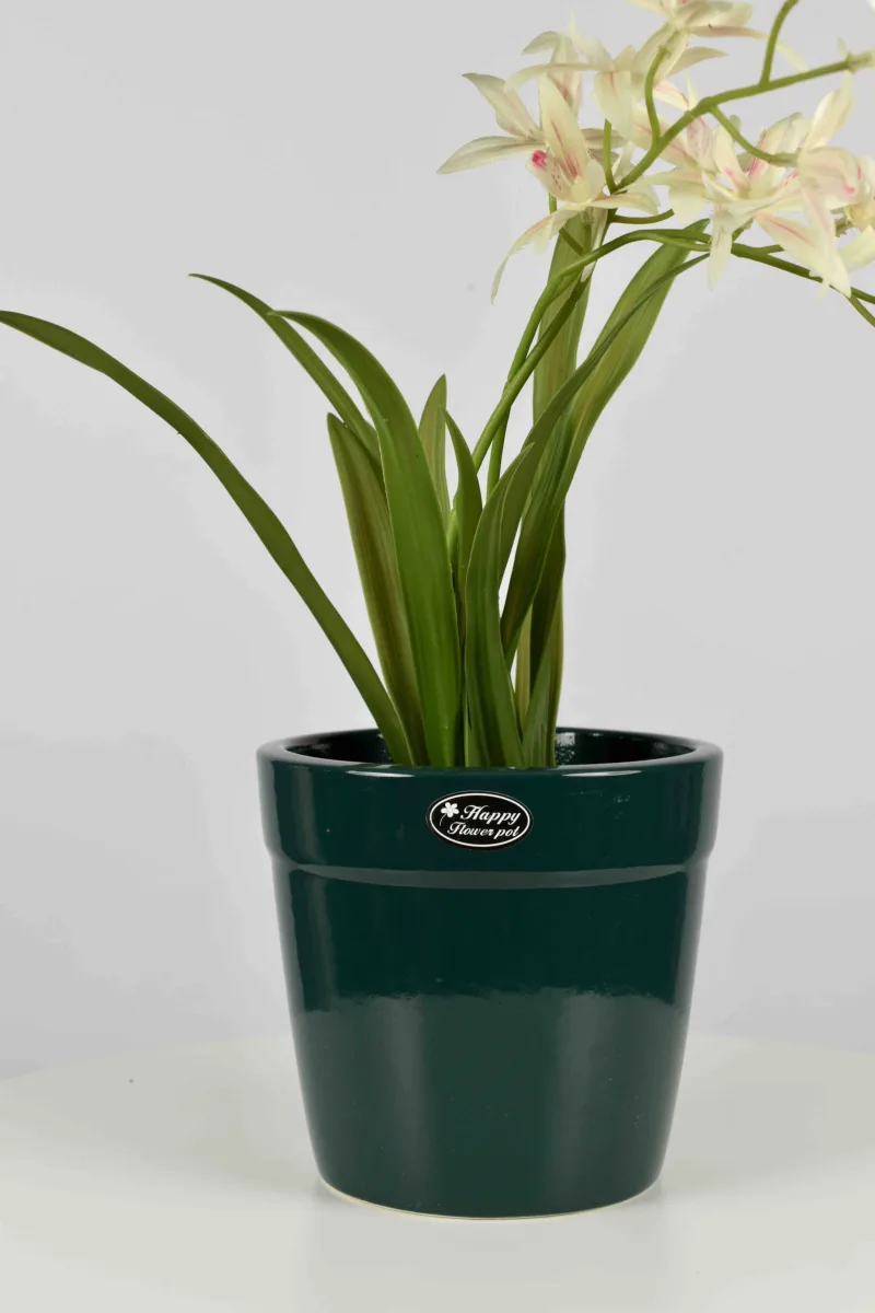 Classic Ceramic Planter — 4" Dia × 3" Height — Primary View