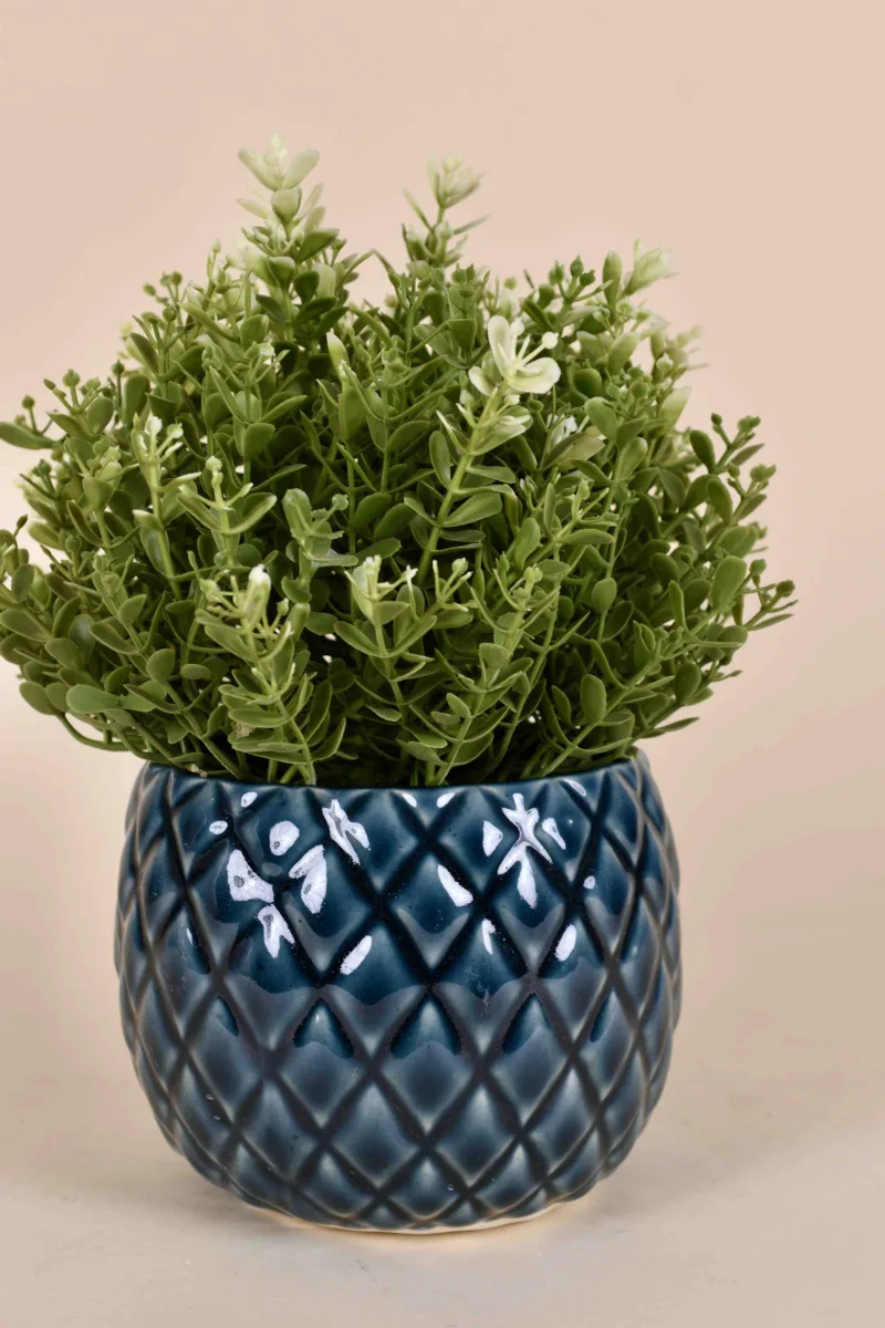 Classic Ceramic Planter — 7" Dia × 4" Height — Primary View