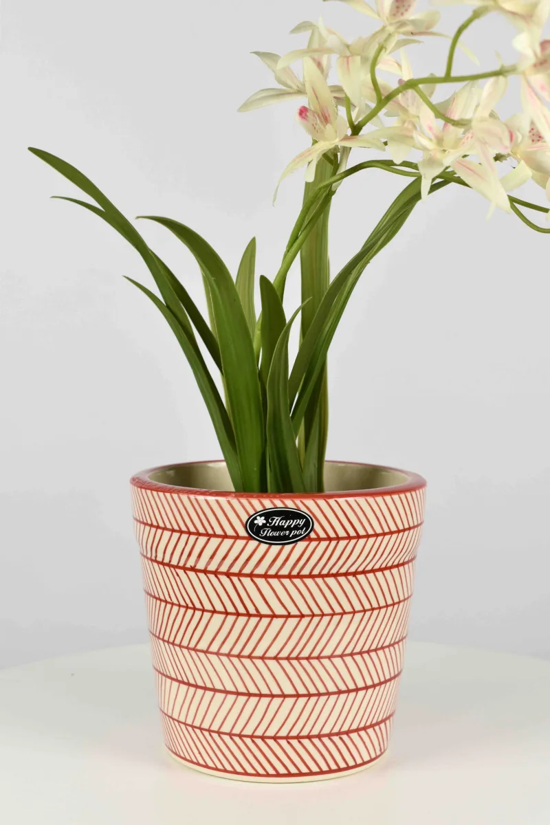 Classic Ceramic Planter — 7" Dia × 4" Height — Primary View