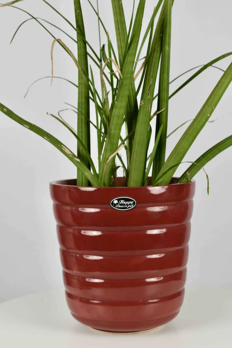 Classic Ceramic Planter — 7" Dia × 4" Height — Primary View