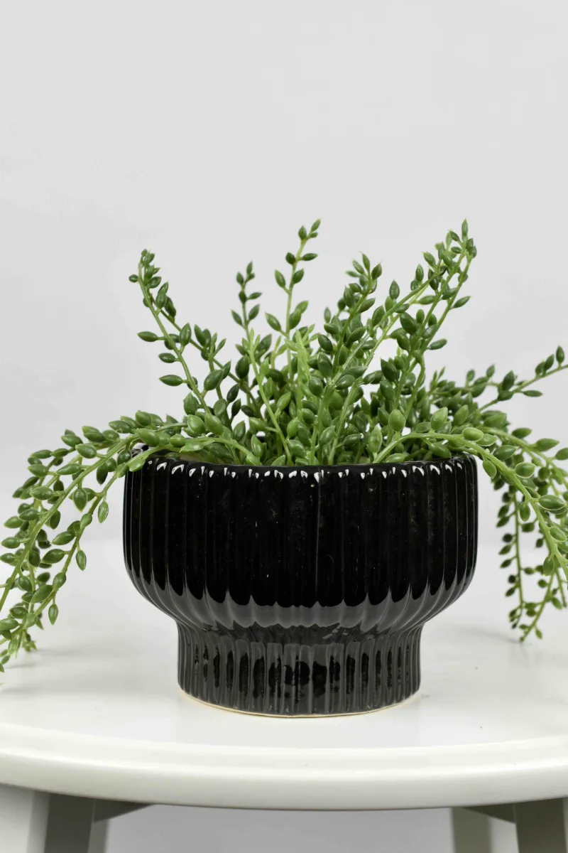 Classic Ceramic Planter — 11" Dia × 10" Height — Primary View
