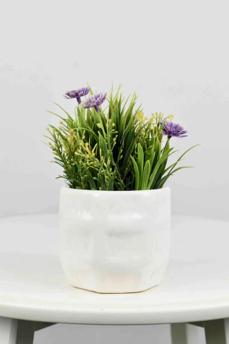 Classic Ceramic Planter — 4.5" Dia × 5" Height — Primary View