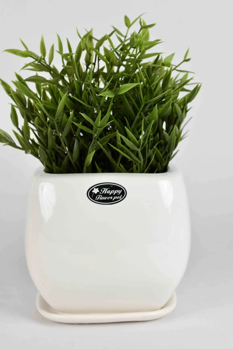 Classic Ceramic Planter — 4" Dia × 3.5" Height — Primary View