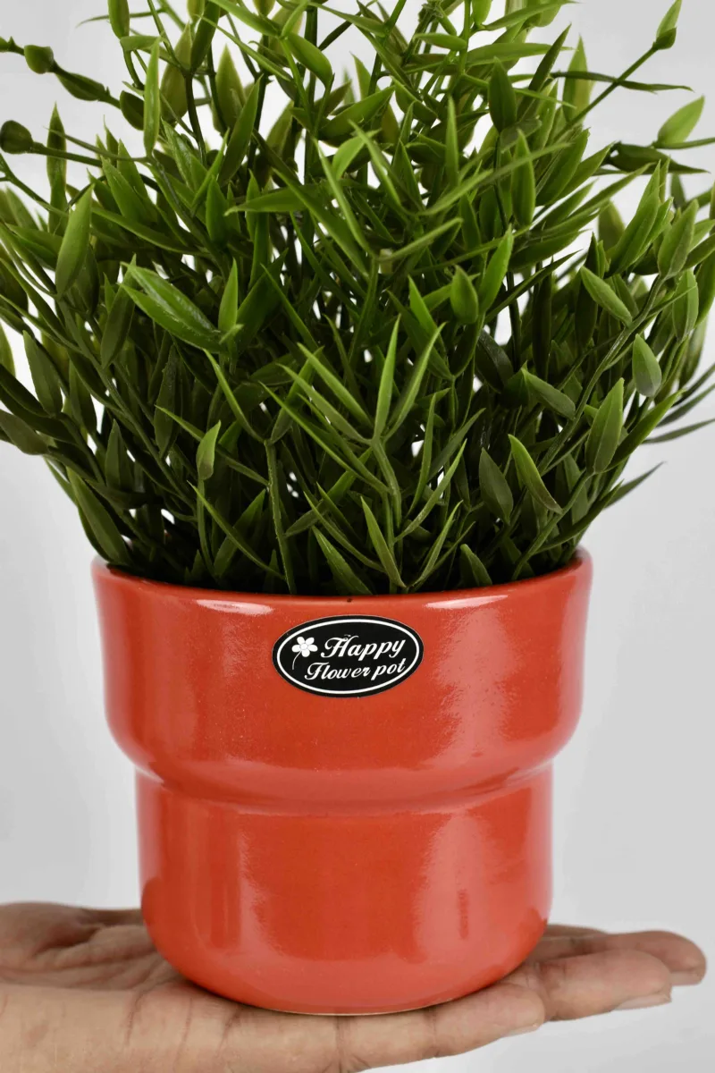 Classic Ceramic Planter — 6" Dia × 4" Height — Primary View