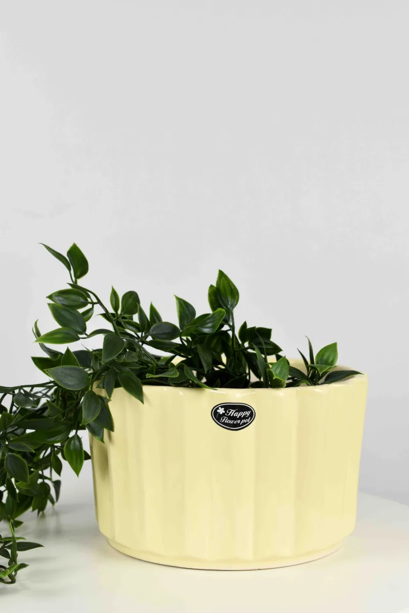 Classic Ceramic Planter — 3" Dia × 3.5" Height — Primary View