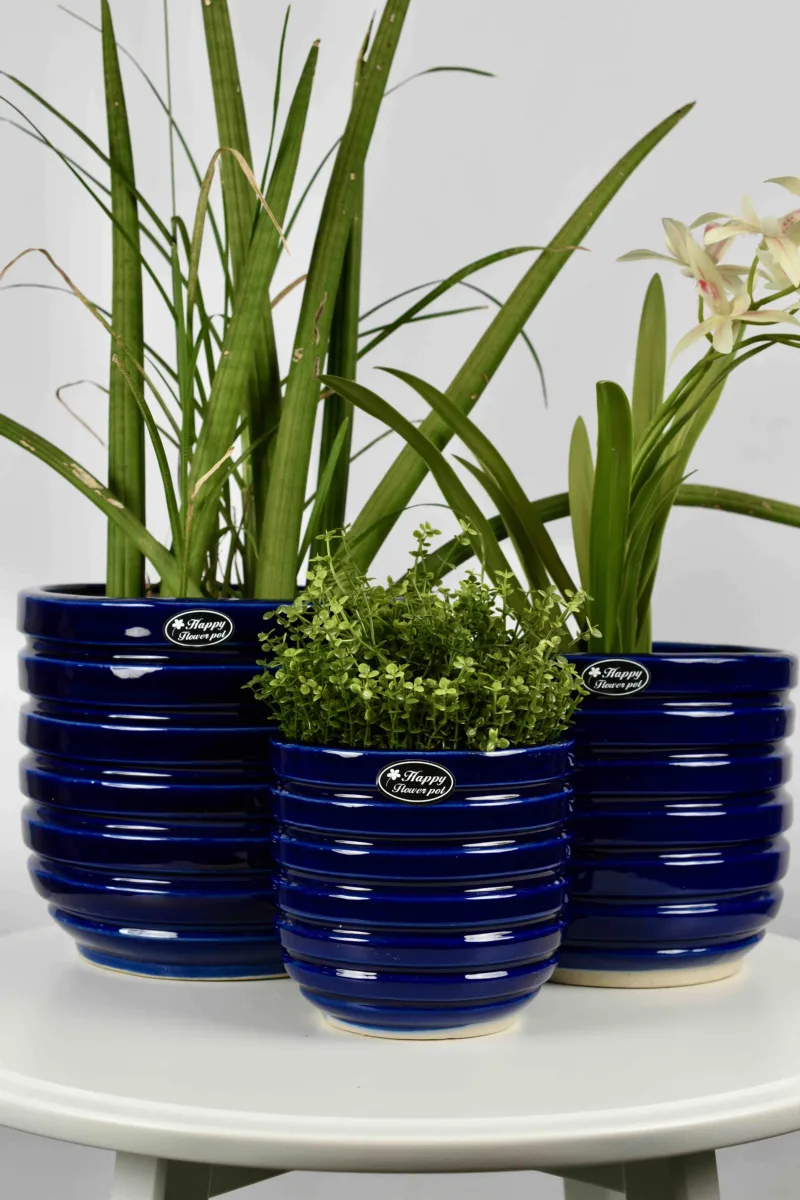 Classic Ceramic Planter — 5" Dia × 3" Height — Primary View