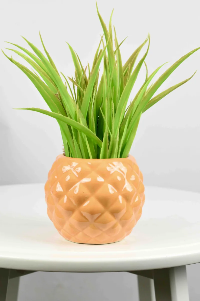 Classic Ceramic Planter — 5" Dia × 3" Height — Primary View