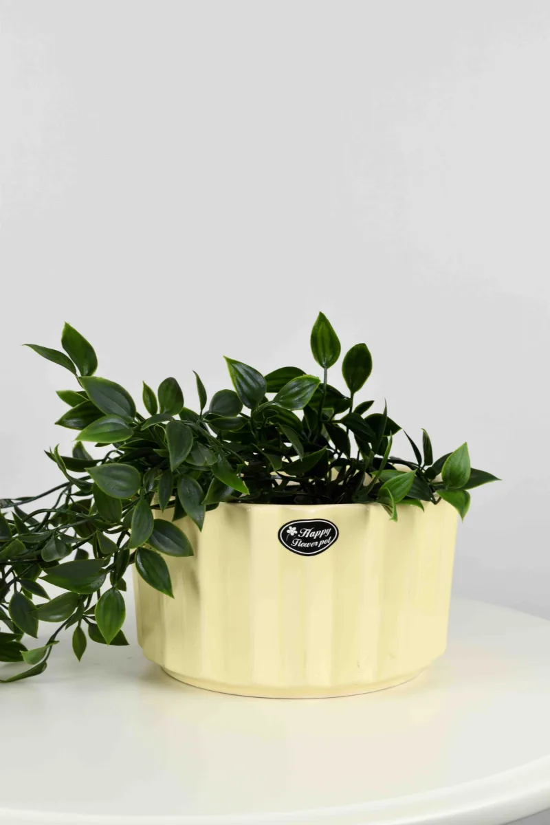 Classic Ceramic Planter — 4" Dia × 4" Height — Primary View