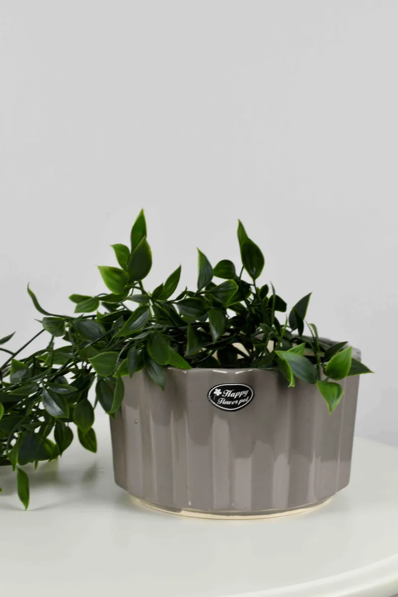 Classic Ceramic Planter — 5" Dia × 6.5" Height — Primary View