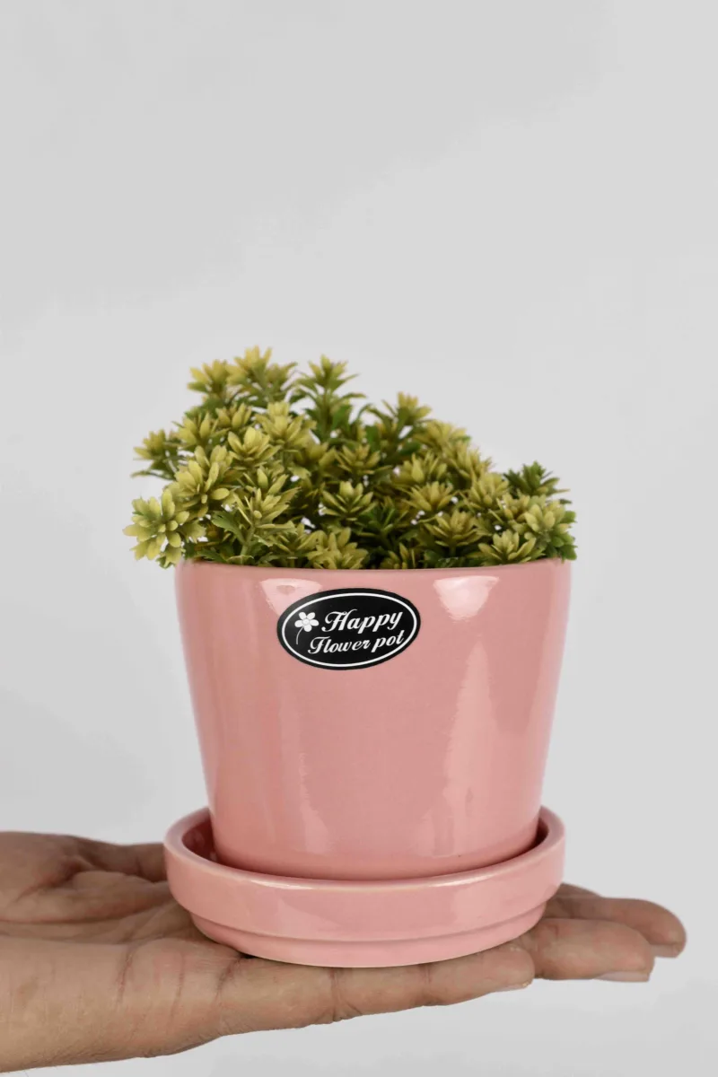 Classic Ceramic Planter — 5" Dia × 4" Height — Primary View