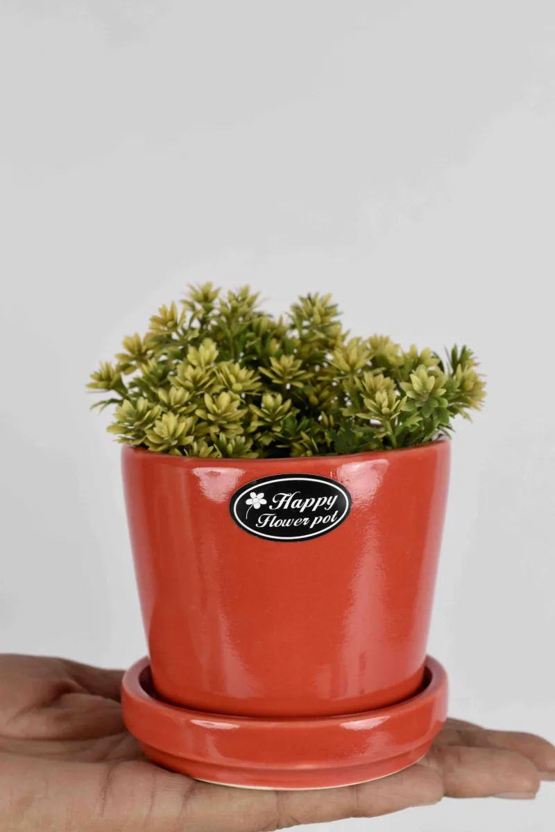 Classic Ceramic Planter Set of 2 (2" Dia) — Primary View