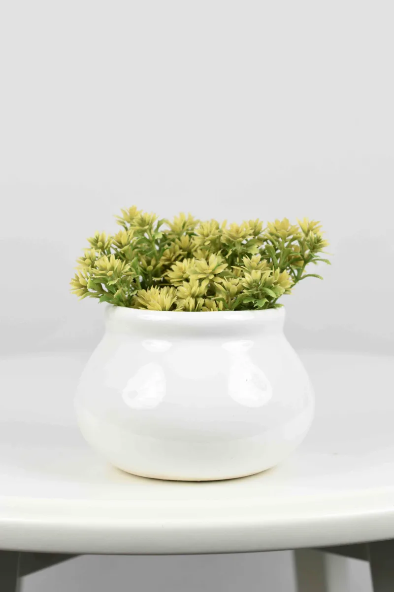 Classic Ceramic Planter — 6" Dia × 6" Height — Primary View
