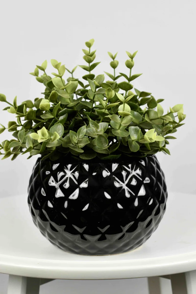 Classic Ceramic Planter — 4.5" Dia × 5" Height — Primary View