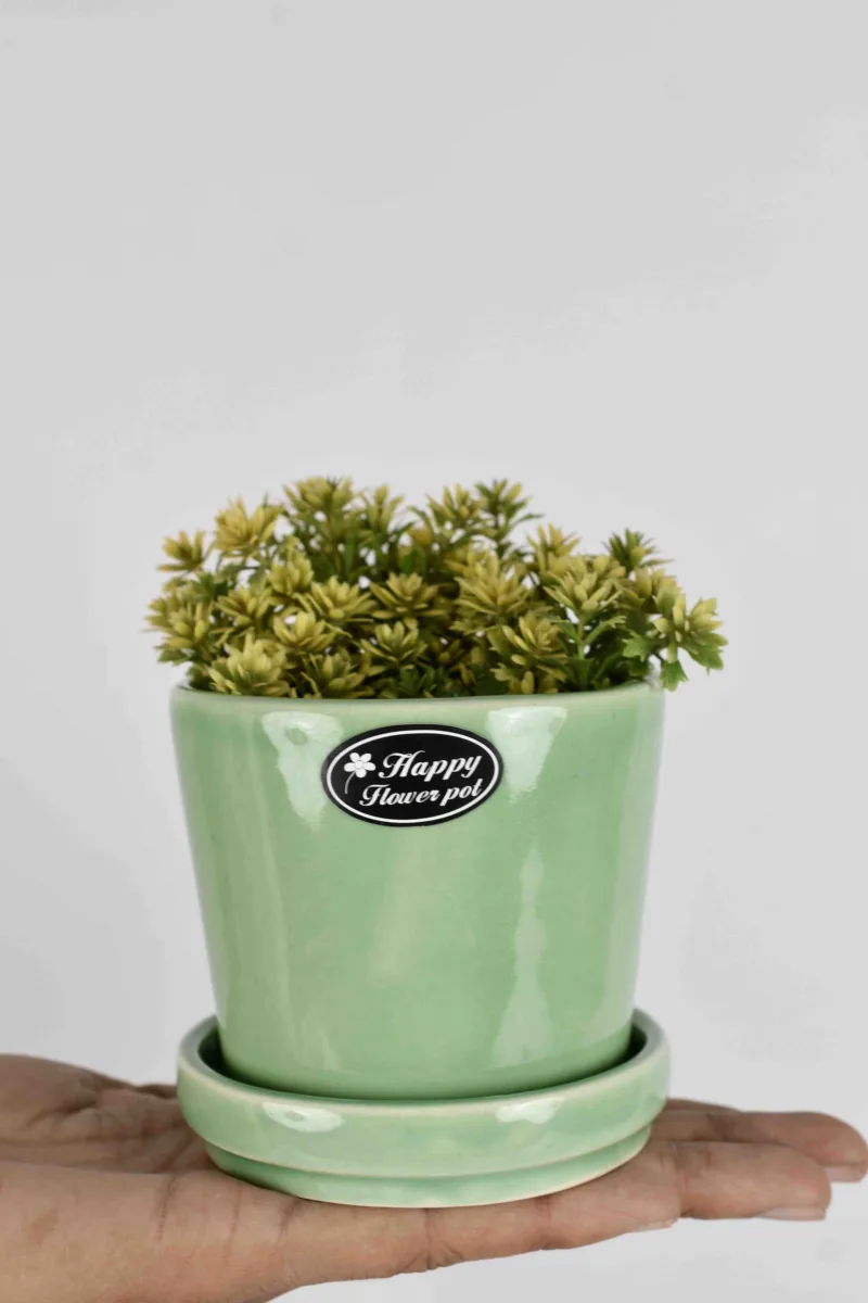 Classic Ceramic Planter — 4.5" Dia × 5" Height — Primary View