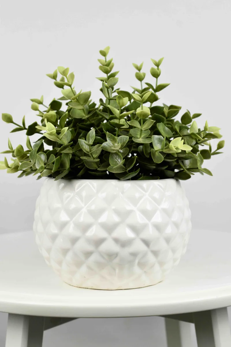 Classic Ceramic Planter — 4.5" Dia × 4.5" Height — Primary View
