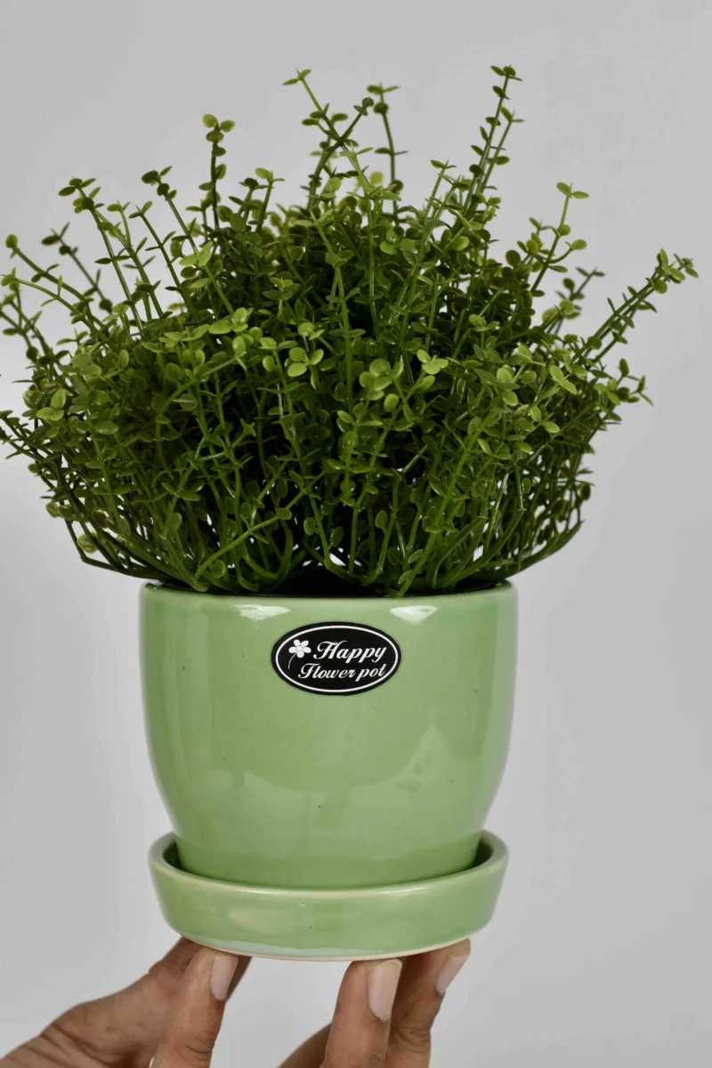 Classic Ceramic Planter — 7" Dia × 7" Height — Primary View