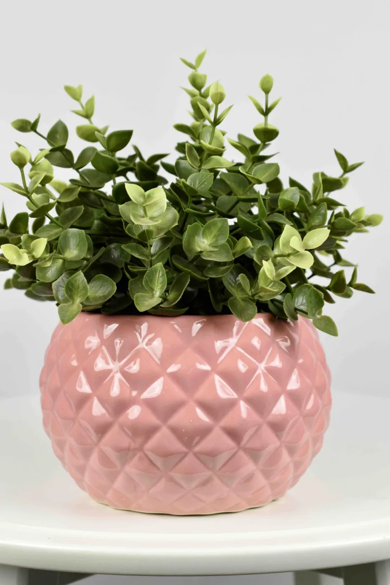 Classic Ceramic Planter — 8.5" Dia × 8" Height — Primary View