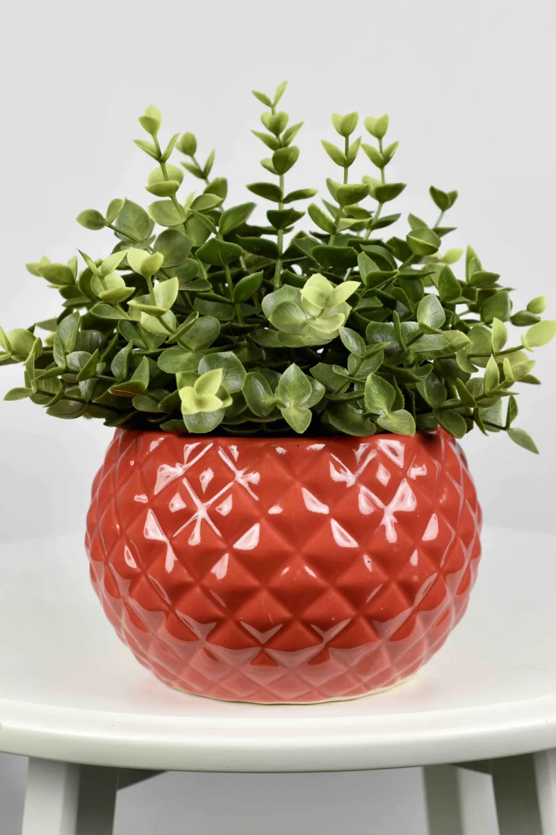 Classic Ceramic Planter — 5" Dia × 4" Height — Primary View