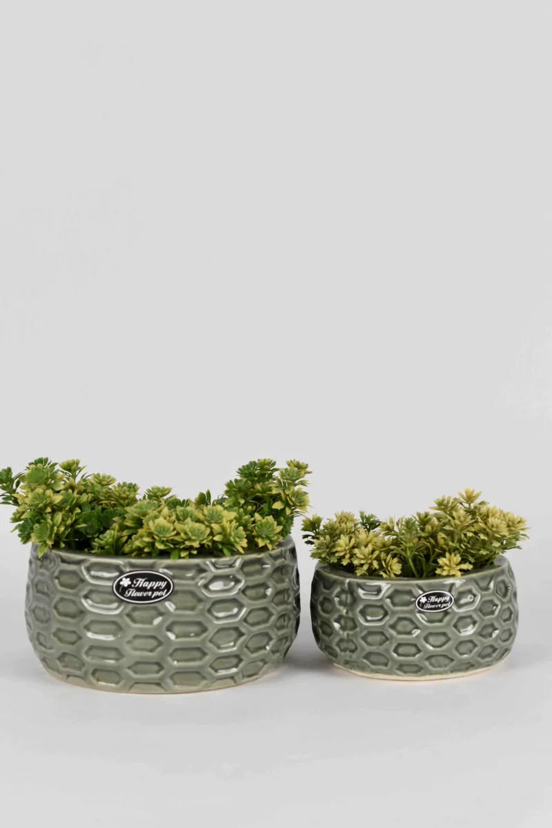 Classic Ceramic Planter — 5" Dia × 2" Height — Primary View