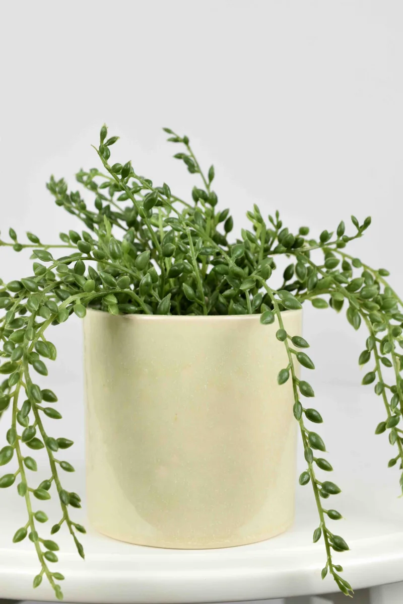 Classic Ceramic Planter — 5" Dia × 6" Height — Primary View