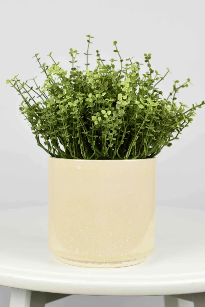 Classic Ceramic Planter — 3.5" Dia × 3.5" Height — Primary View