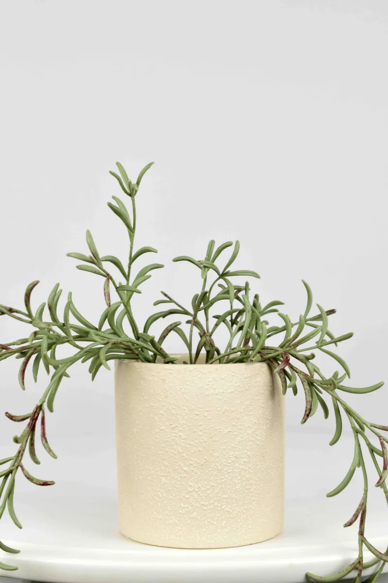 Classic Ceramic Planter — 4.5" Dia × 5" Height — Primary View