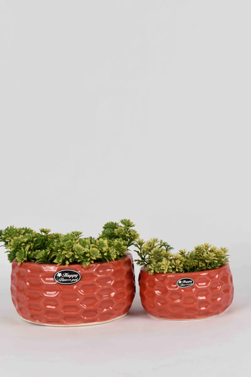 Classic Ceramic Planter — 6" Dia × 4" Height — Primary View