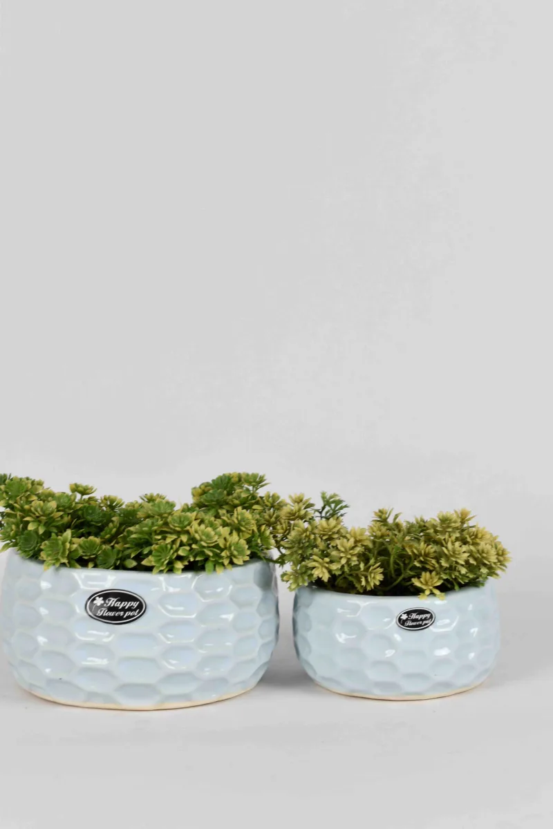 Classic Ceramic Planter — 8" Dia × 4.5" Height — Primary View