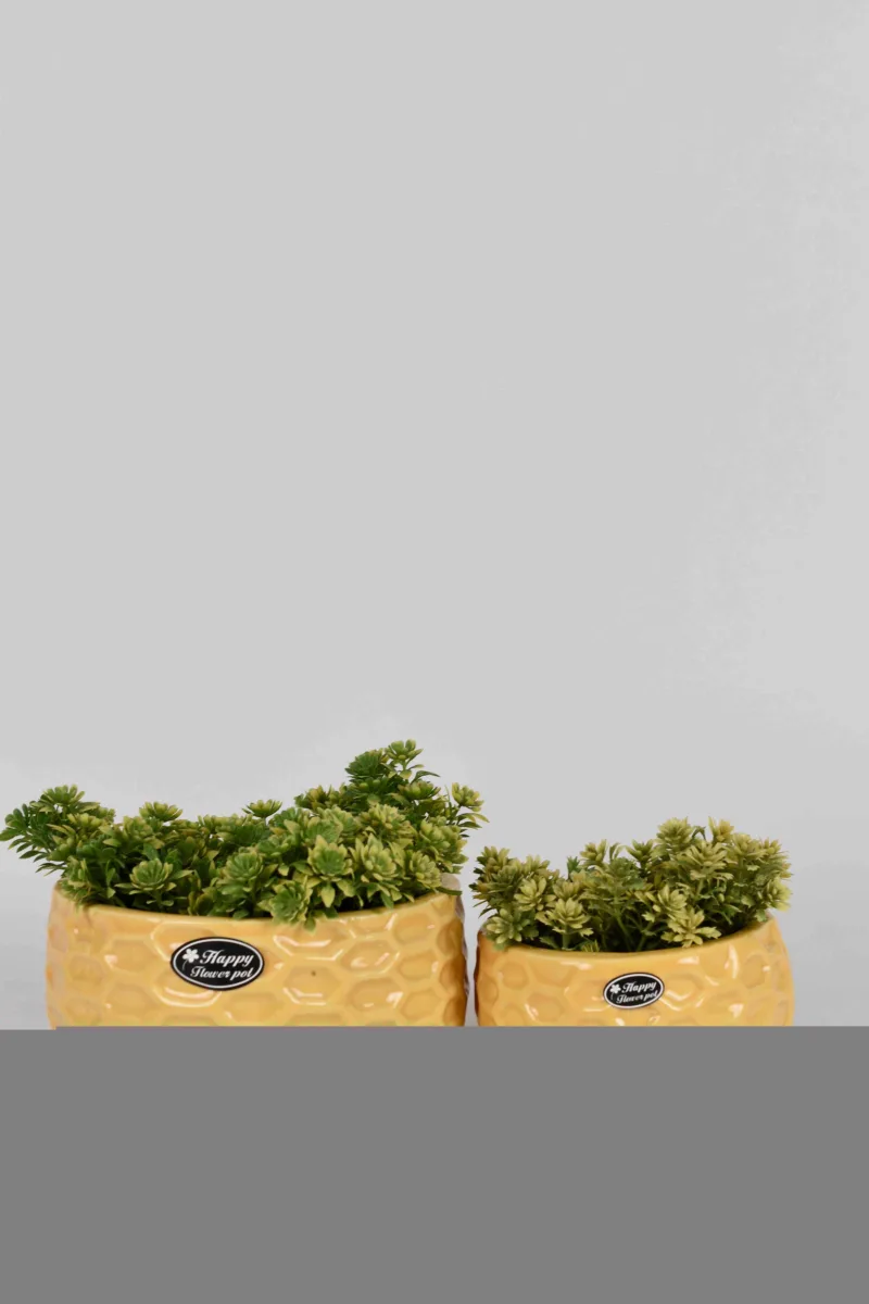 Classic Ceramic Planter — 4" Dia × 4" Height — Primary View