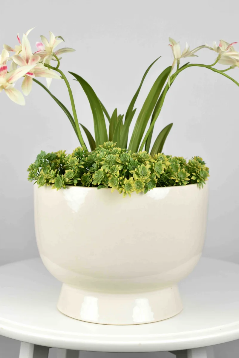 Classic Ceramic Planter — 4.5" Dia × 5.5" Height — Primary View