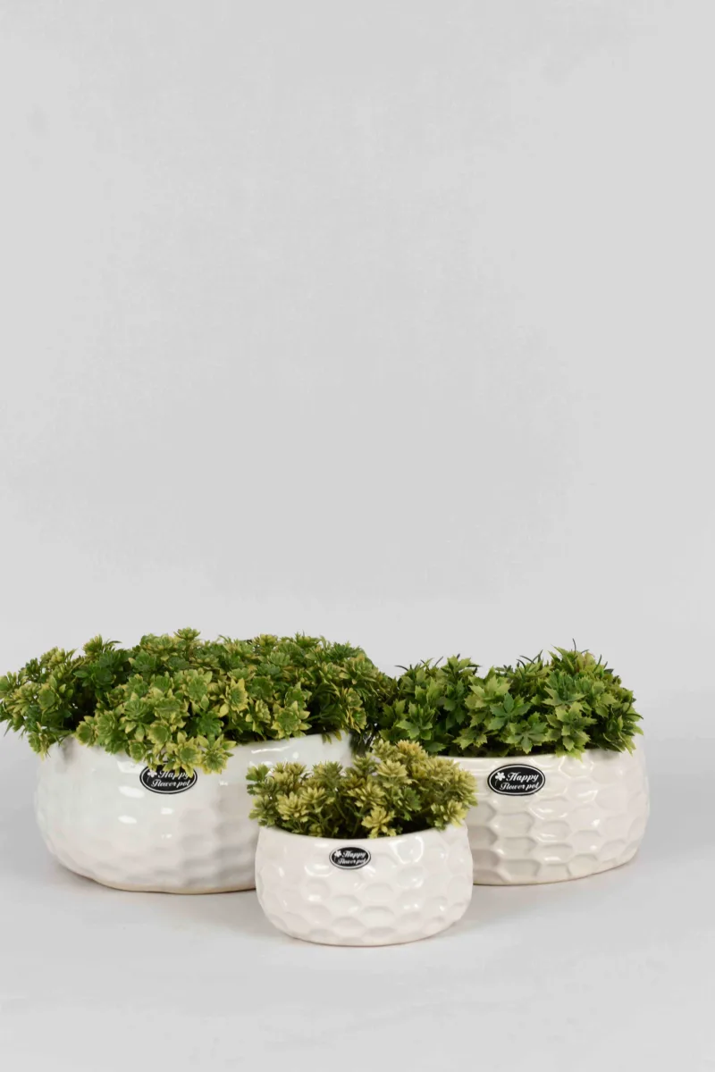 Classic Ceramic Planter — 4.5" Dia × 5" Height — Primary View