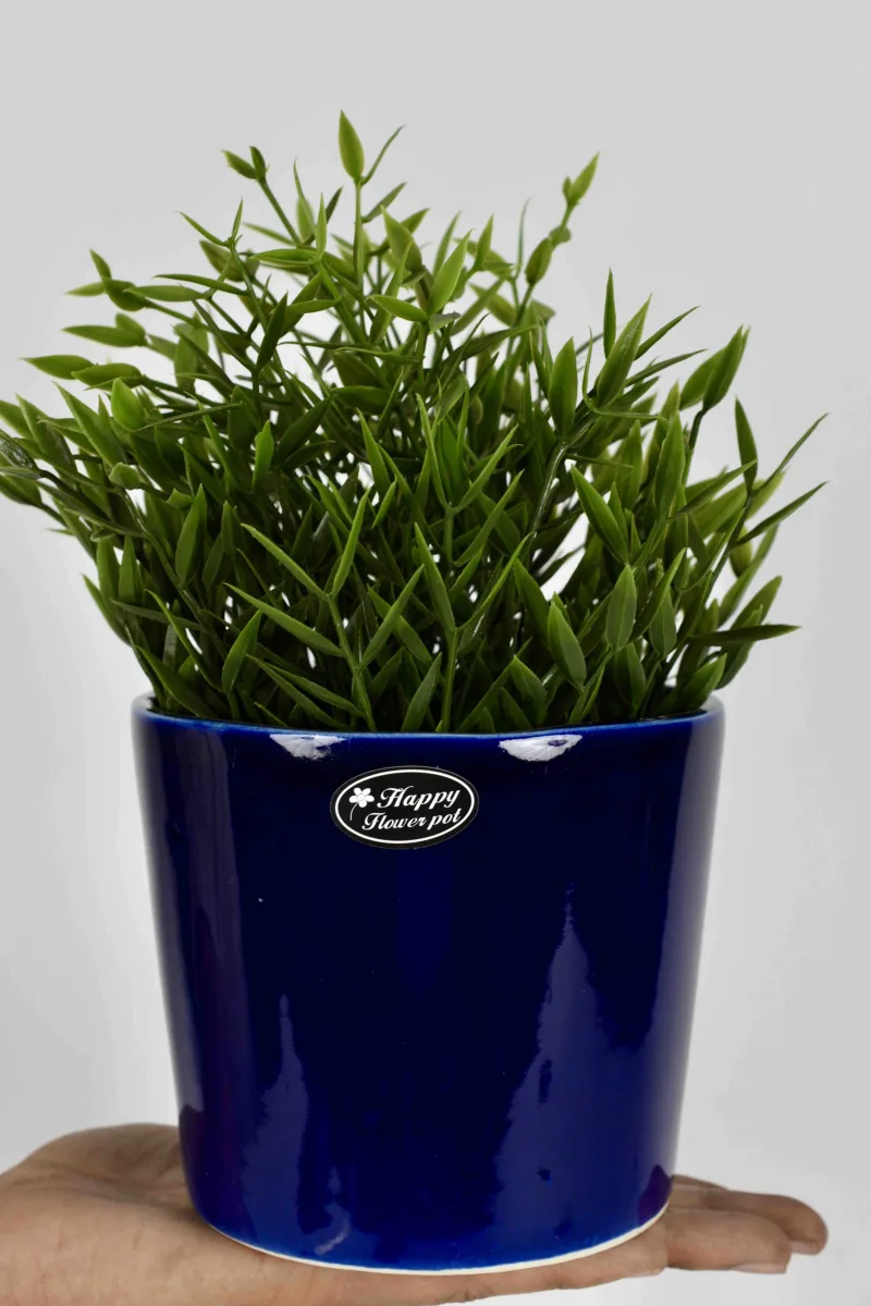 Classic Ceramic Planter — 4.5" Dia × 5" Height — Primary View