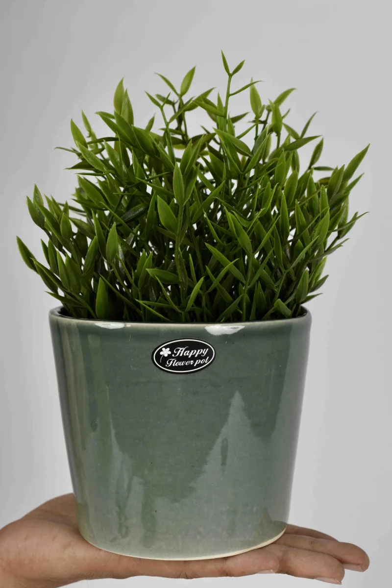 Classic Ceramic Planter — 8" Dia × 8" Height — Primary View