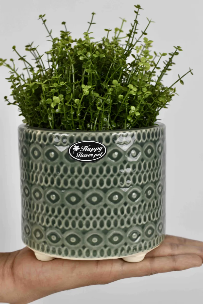 Classic Ceramic Planter — 4" Dia × 4" Height — Primary View