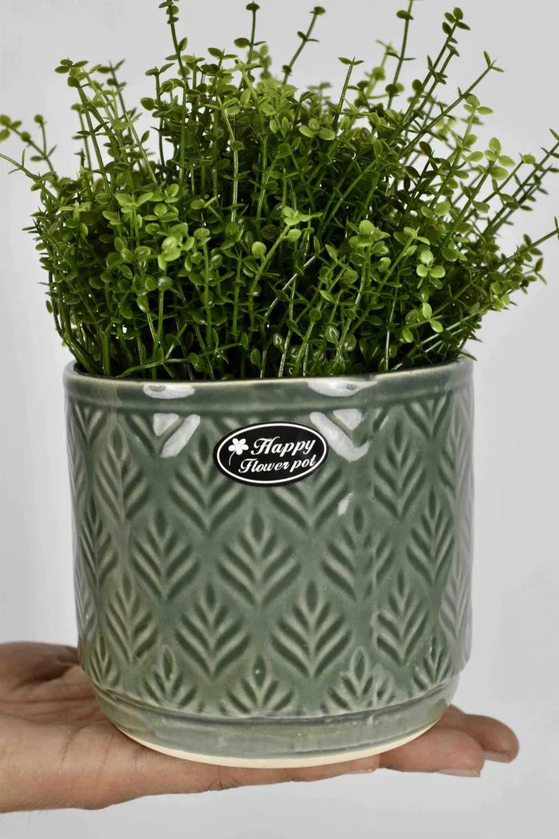 Classic Ceramic Planter — 5" Dia × 5" Height — Primary View