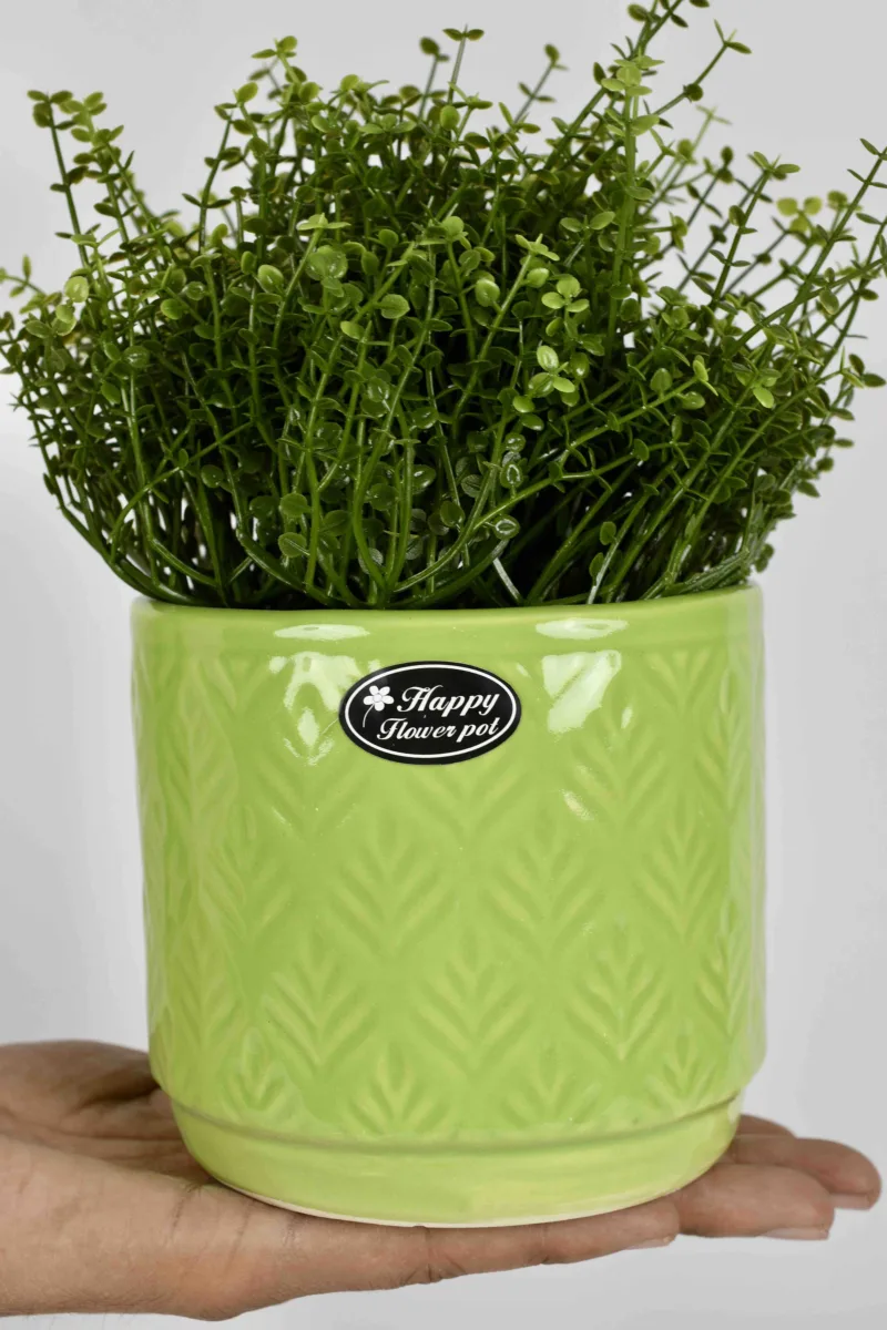 Classic Ceramic Planter — 4.5" Dia × 5" Height — Primary View