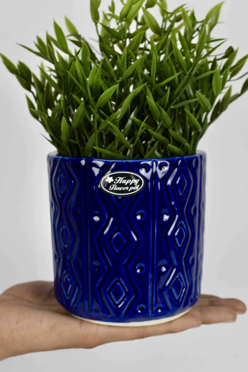 Classic Ceramic Planter — 4" Dia × 3.5" Height — Primary View