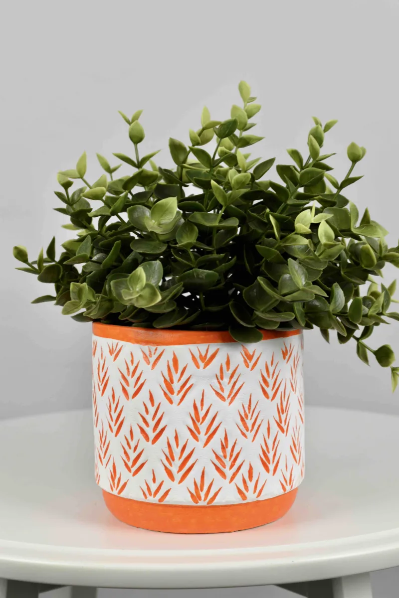 Classic Ceramic Planter — 6" Dia × 5" Height — Primary View