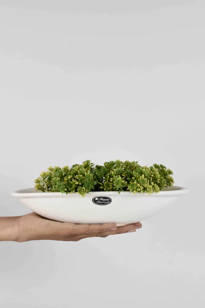 Classic Ceramic Planter — 5" Dia × 3" Height — Primary View