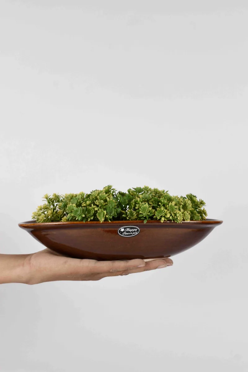 Classic Ceramic Planter — 7" Dia × 4" Height — Primary View