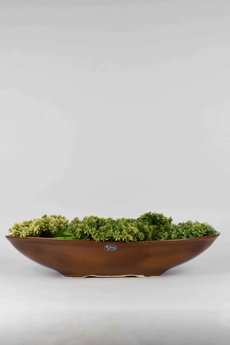 Classic Ceramic Planter — 4" Dia × 3" Height — Primary View