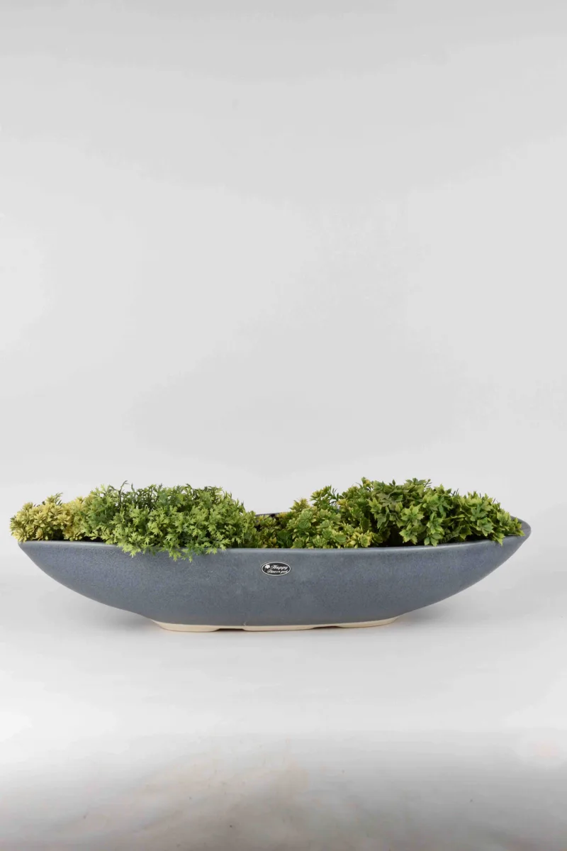 Classic Ceramic Planter — 6" Dia × 5" Height — Primary View